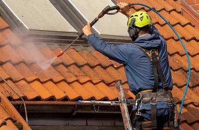 Démoussage et hydrofuge de toiture à Grand-Aigueblanche